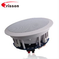 OEM Supplier ceiling speakers 30w loudspeaker for home