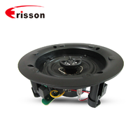OEM/ODM Supplier beat in wall ceiling speaker for house