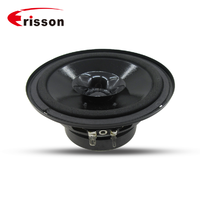 professional speaker 30watts 5.25 inch midrange speaker for car door